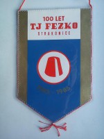 /album/strakonice/strakonice-tj-fezko-100-28-jpg/